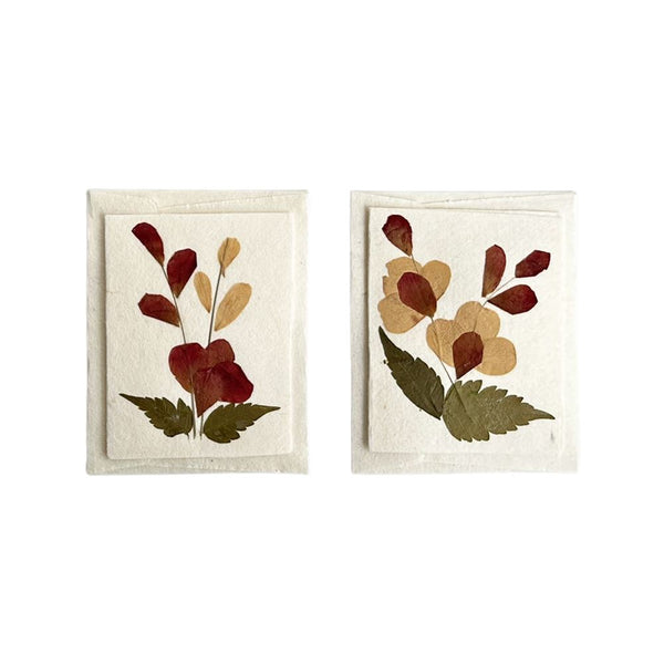 Two mini gift cards with pressed flowers on a white background