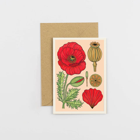Greeting card with red flowers and a brown envelope on a light gray background