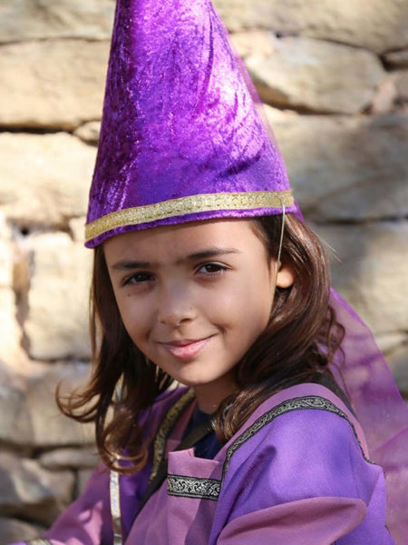 Violet Velvet Cone Fairy Crown