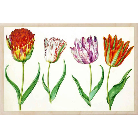 Tulips Wooden Magnet - Holtzbecker