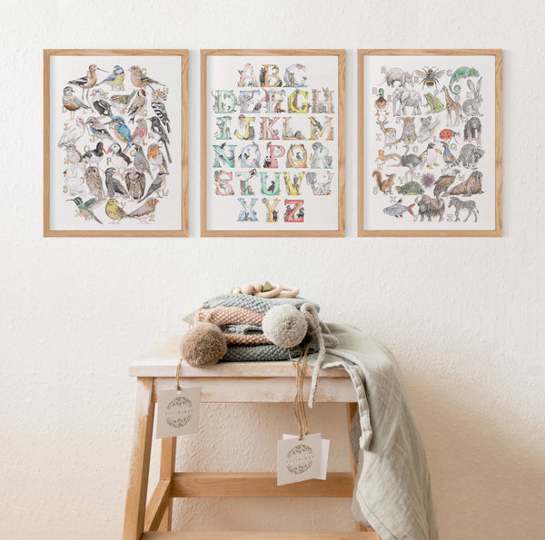 Three framed animal prints on a wall above a wooden bench with a blanket and pom-poms.