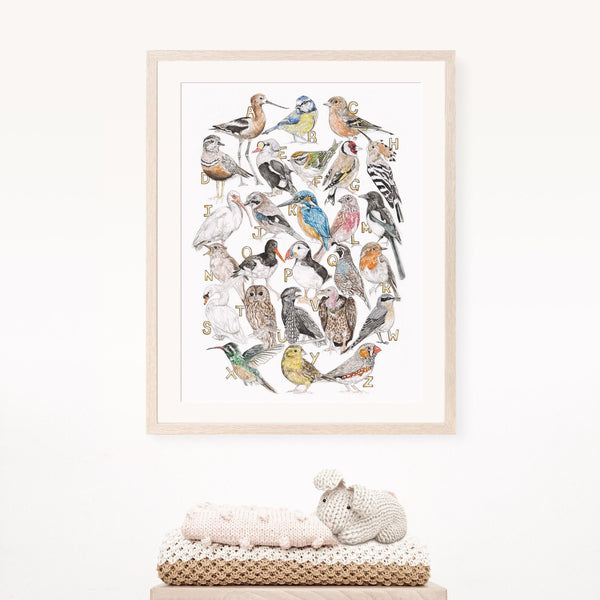Framed artwork of various birds on a white wall with a plush toy below.