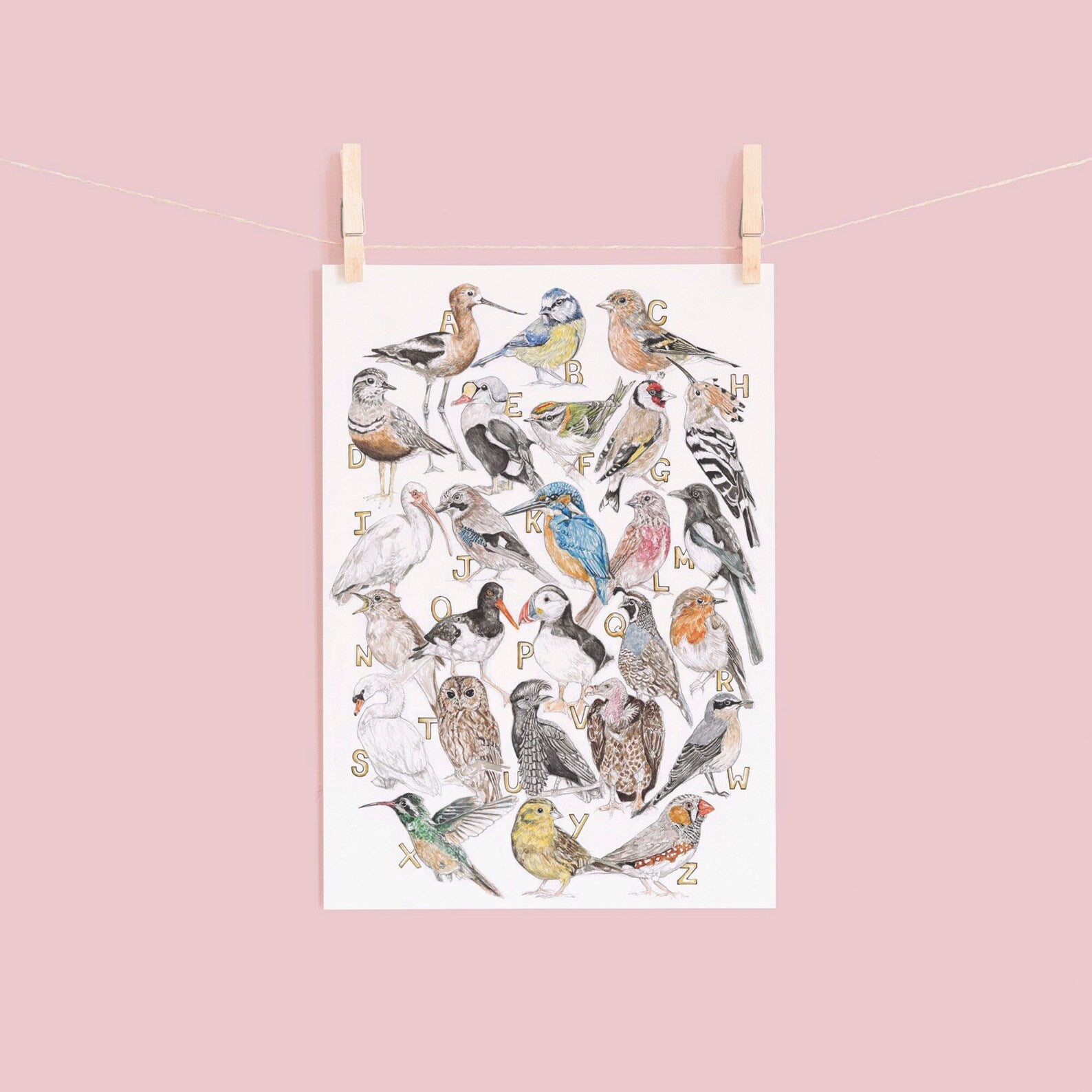 Alphabet bird print hanging against a pink background