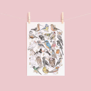 Alphabet bird print hanging against a pink background