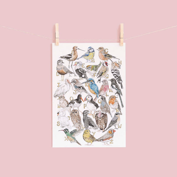 Alphabet bird print hanging against a pink background
