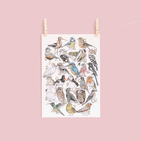 Alphabet bird print hanging against a pink background