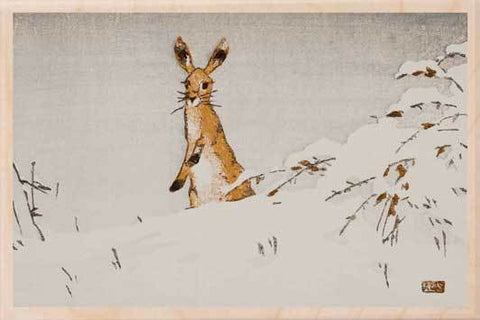 Snow and Hare Wooden Postcard - Seaby