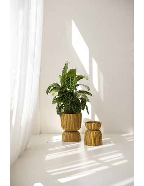 Yellow Ochre Twist Small Plant Basket - Handed By