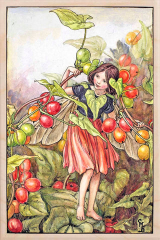 Rosehip Fairy Wooden Postcard - Cicely Mary Barker