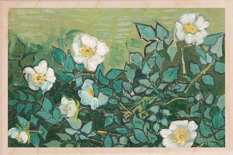 Wild Roses Wooden Postcard - Van Gogh