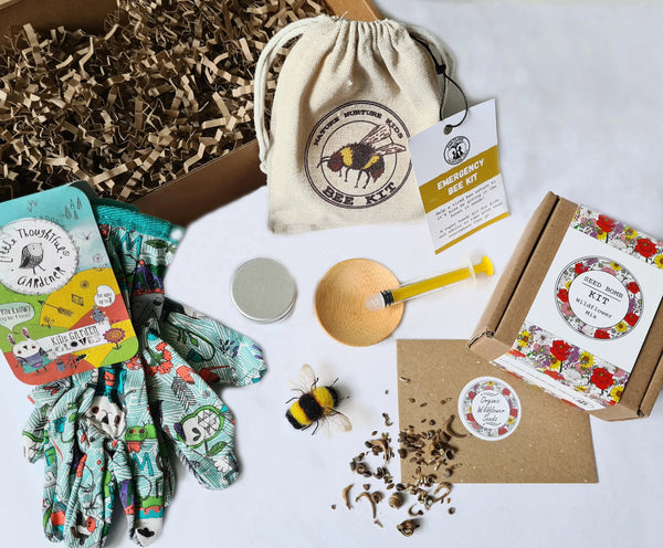 Bee Rescue Kit - Nature Nurture Kids