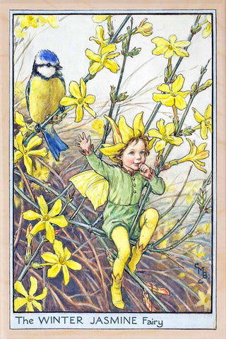 Winter Jasmine Fairy Wooden Postcard - Cicely Mary Barker