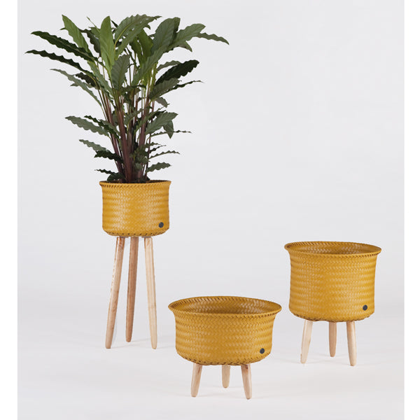 UP Plant Baskets Mustard - Handed By