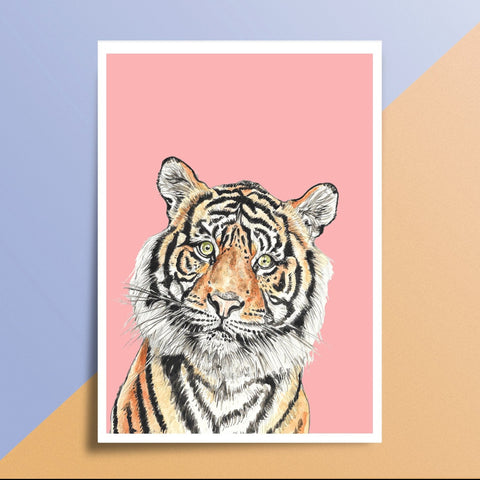 Pink 'Curious Tiger' Print - A4 - Kathryn Pow Art