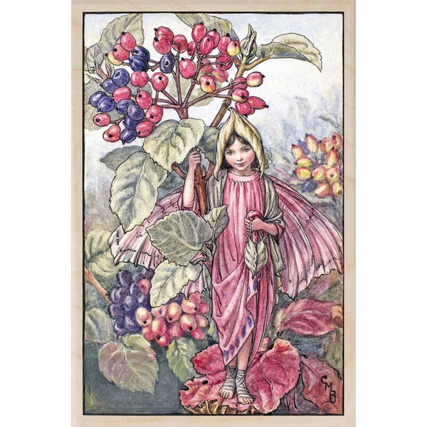 'Elderberry Fairy' Wooden Postcard - Cicely Mary Barker