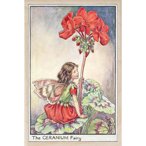 'Geranium Fairy' Wooden Postcard - Cicely Mary Barker