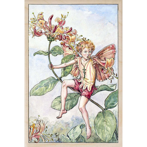 'Honeysuckle Fairy' Wooden Postcard - Cicely Mary Barker