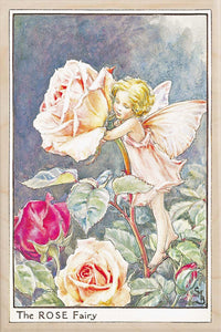 'Rose Fairy' Wooden Postcard - Cicely Mary Barker