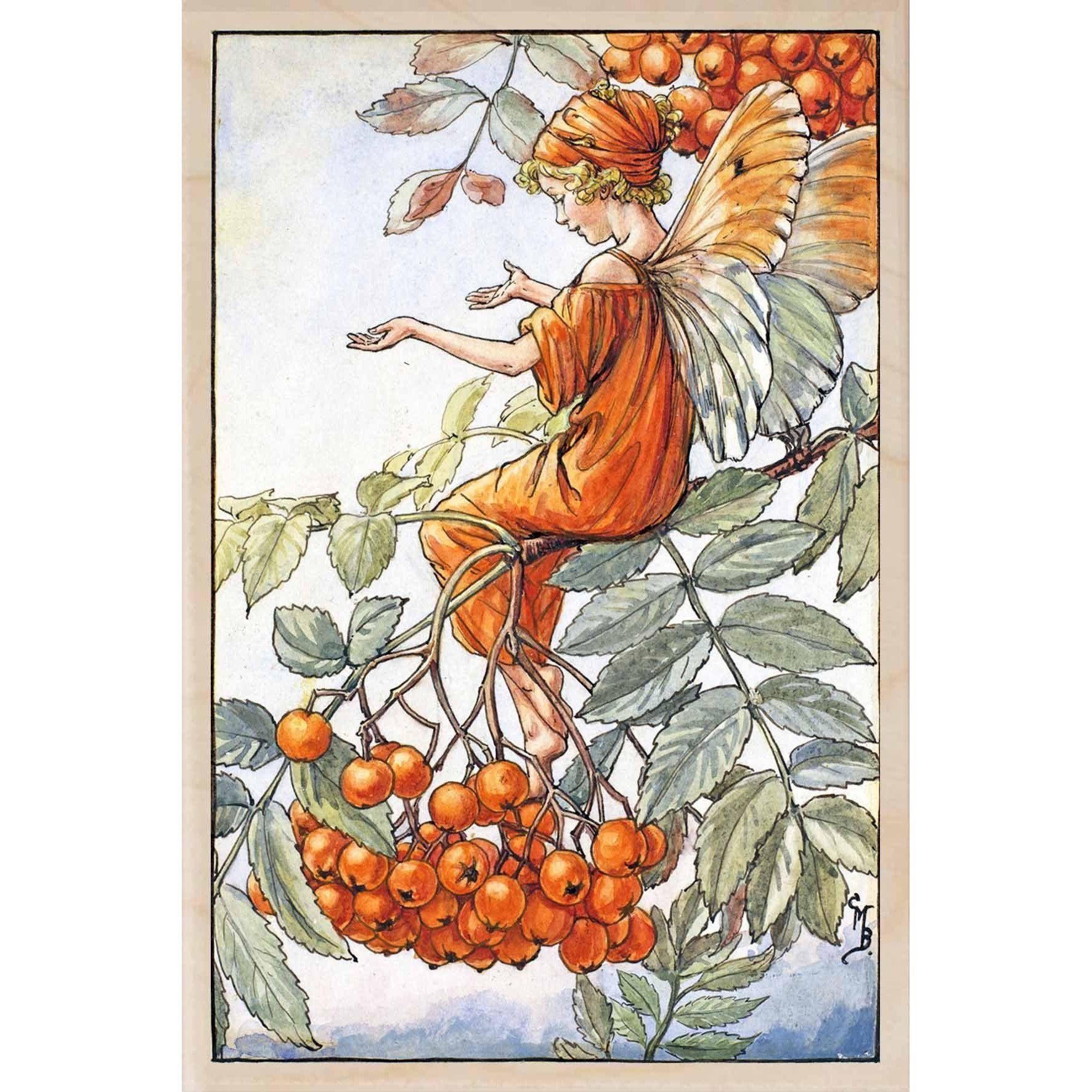 'Rowan Tree Fairy' Wooden Postcard - Cicely Mary Barker