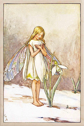 Snowdrop Flower Fairy Card by Cicely Mary Barker - The Wooden Postcard Company