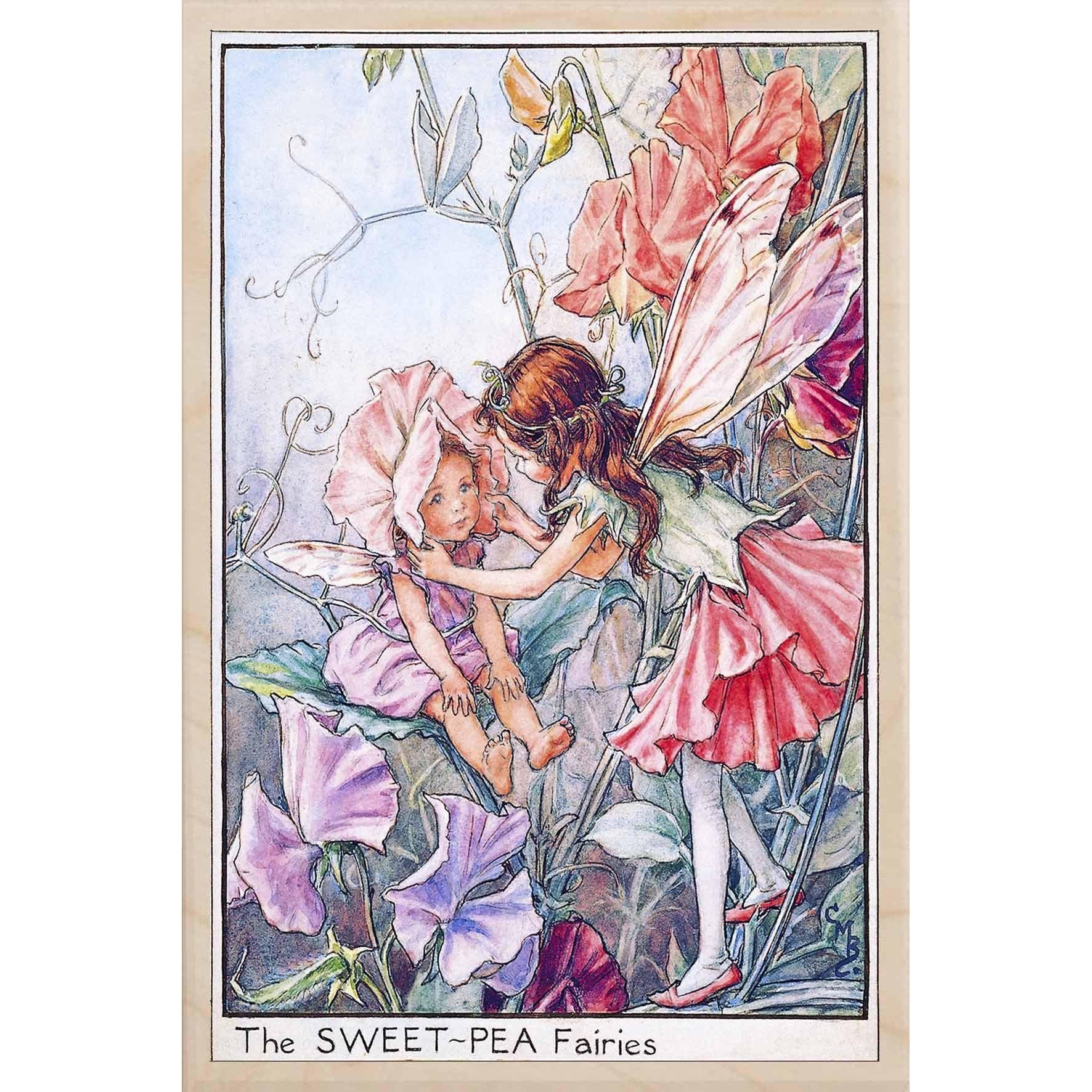 'Sweet Pea Fairy' Wooden Postcard - Cicely Mary Barker